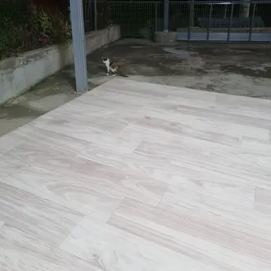 Profile image of 여우