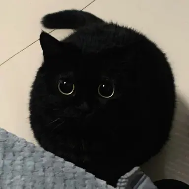 Profile image of 쿠키