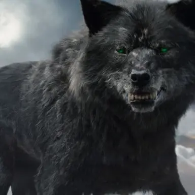 Profile image of 펜리르