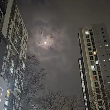 Profile image of 청현