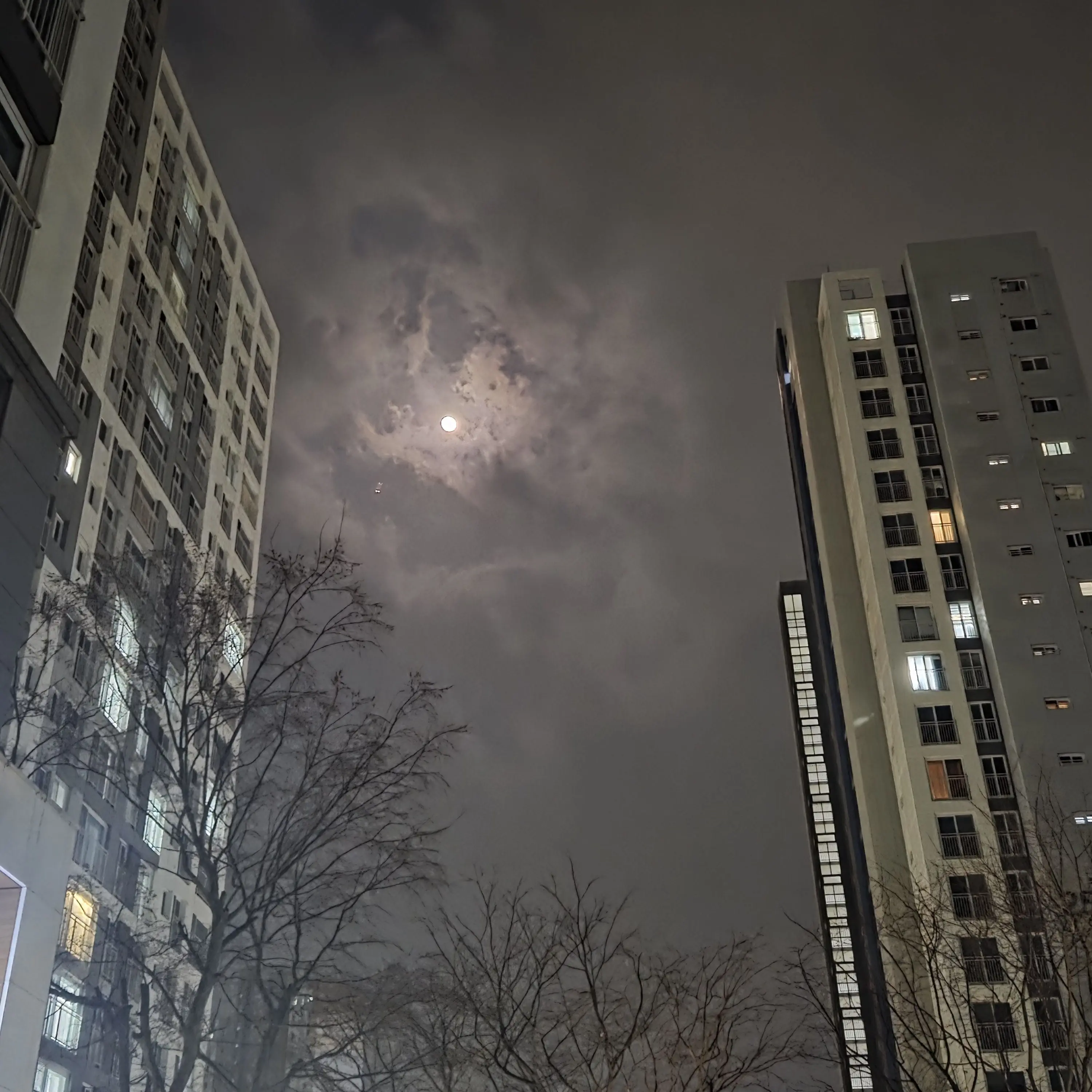 NuttyHeron2151의 절망