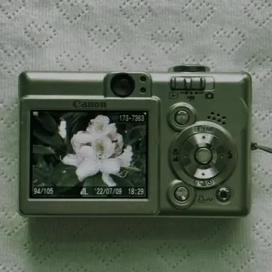 Profile image of 공룡