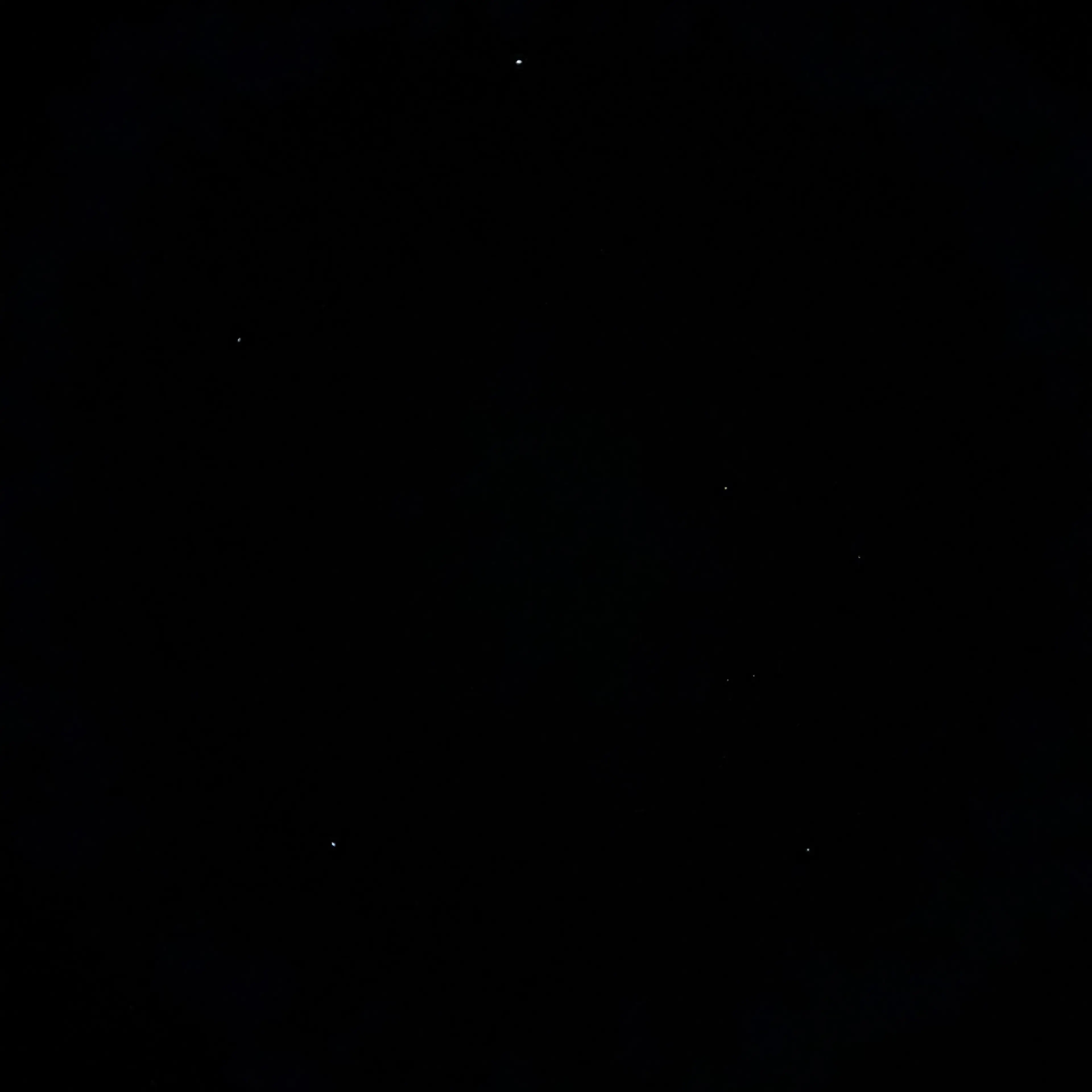 TastyMacaw9646의 김동현