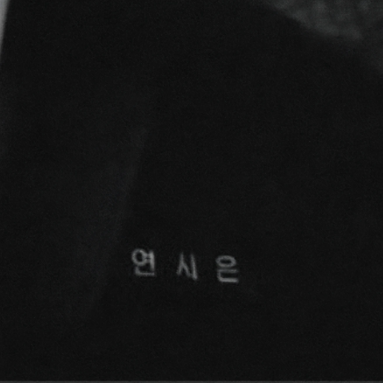 연시은