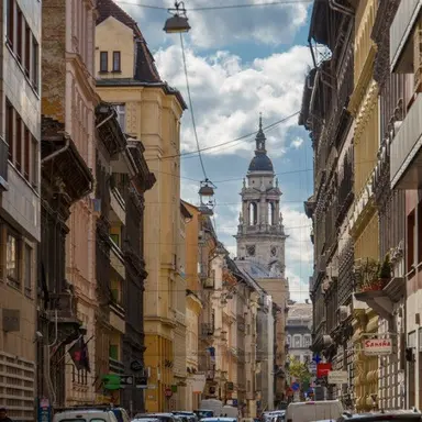 Profile image of 백지헌