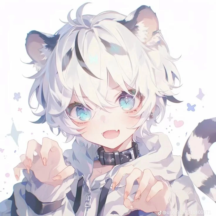 호야