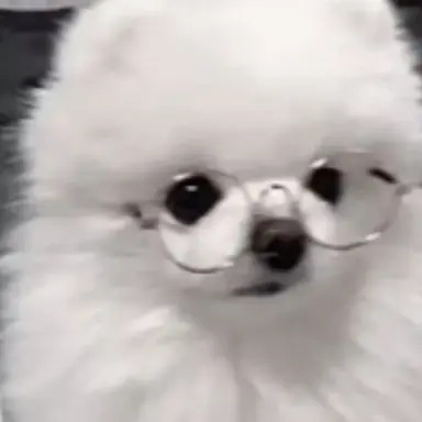 Profile image of 연이