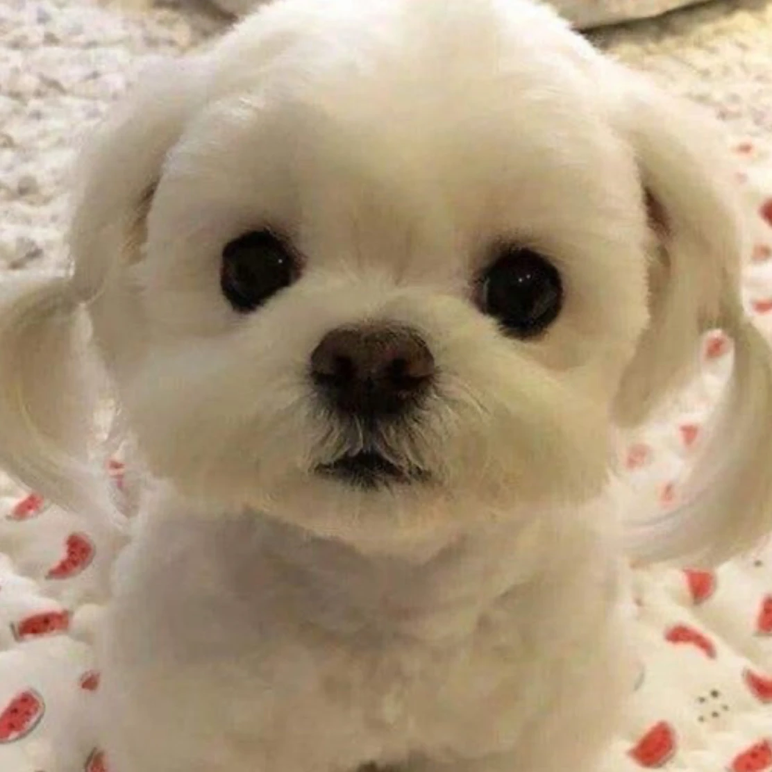 립우