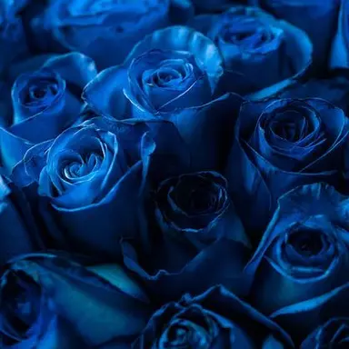 Profile image of 伊野尾慧