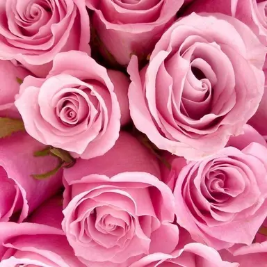 Profile image of 知念侑李