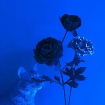 Profile image of 벨키