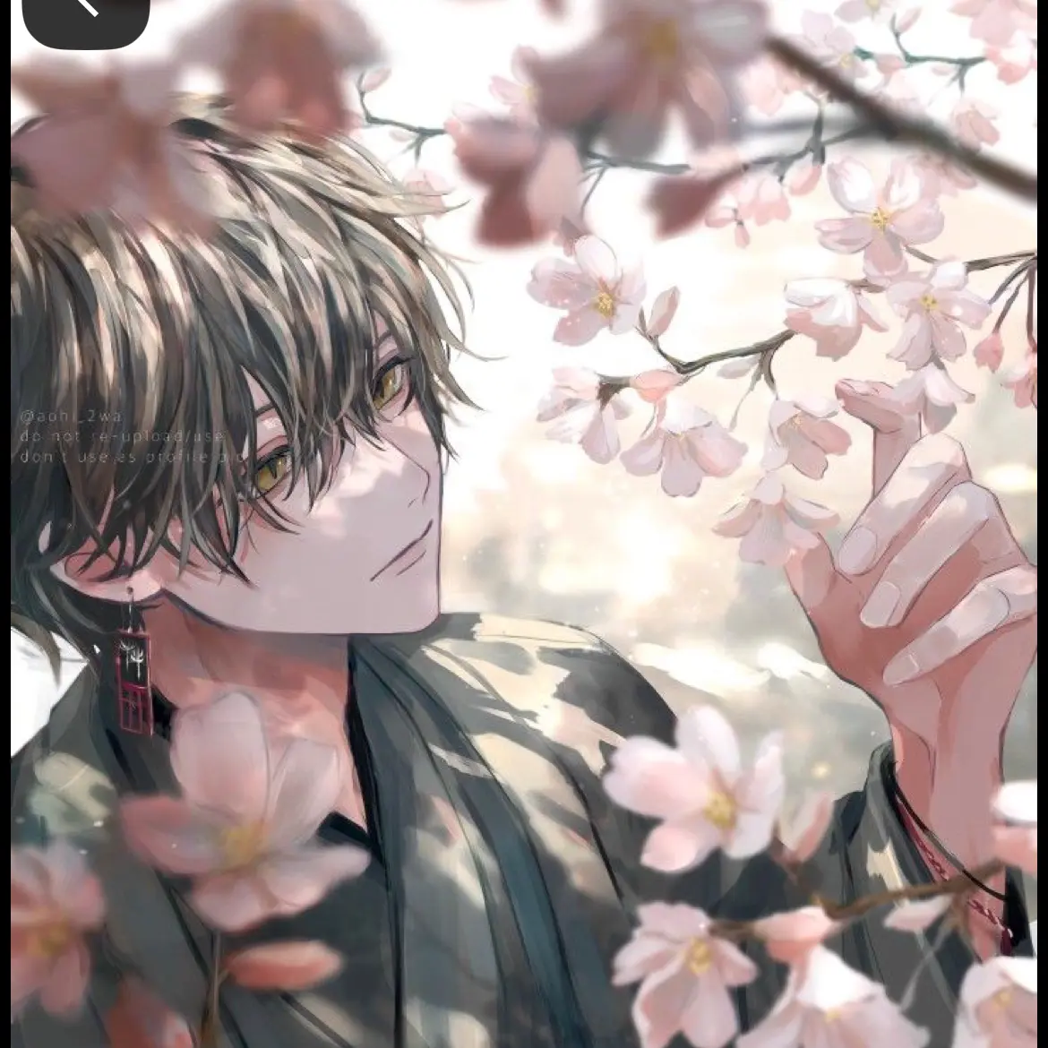 TartWall7613의 春夏秋冬代行者