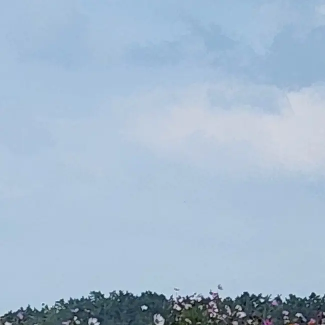Walwaliiii의 개인용?