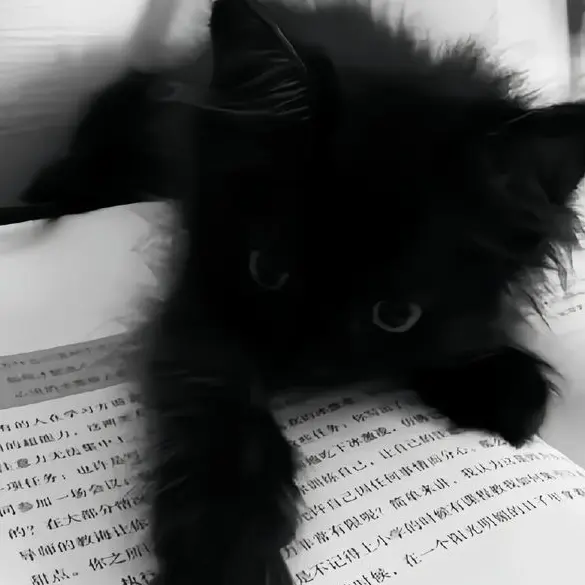 y______kix의 平気なフリ