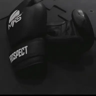 Profile image of 복싱단