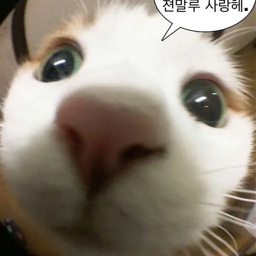 SillyLion4760의 헤헤