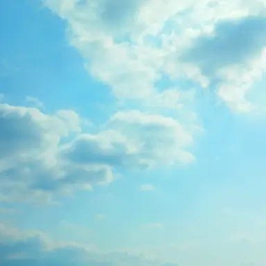 Profile image of 잠뜰