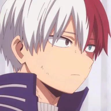 Profile image of Shoto Todoroki