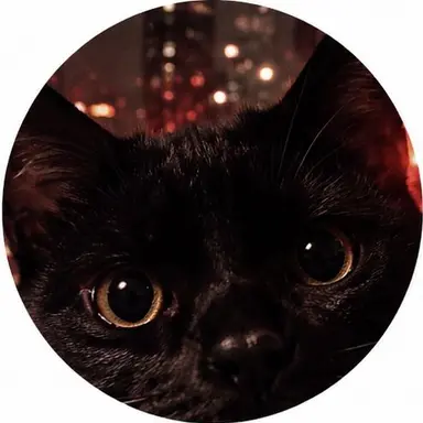 Profile image of れ