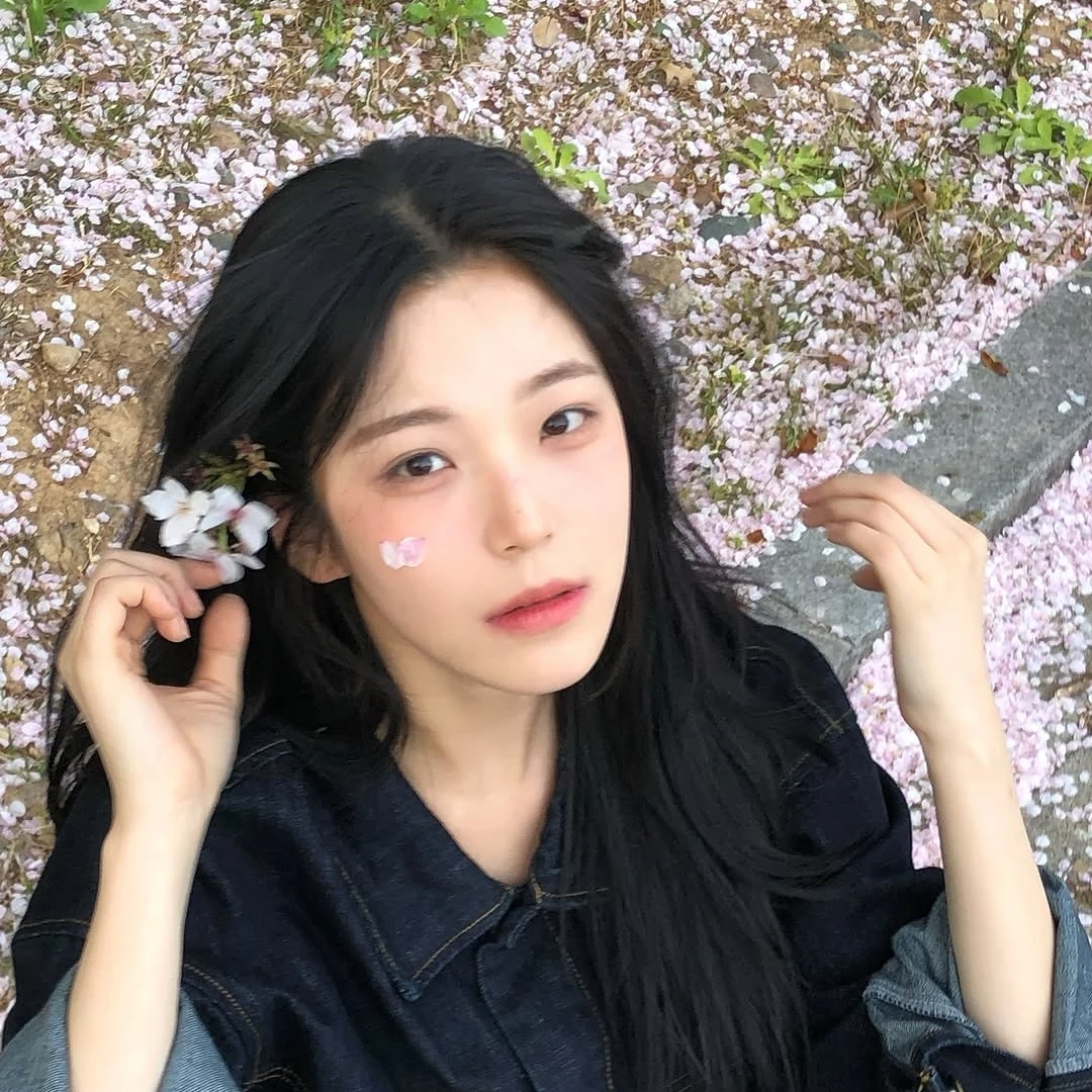 백지헌