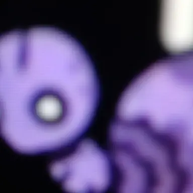Profile image of 아리앤트