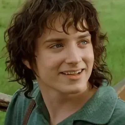 GloomyOtter8417의 Frodo Baggins
