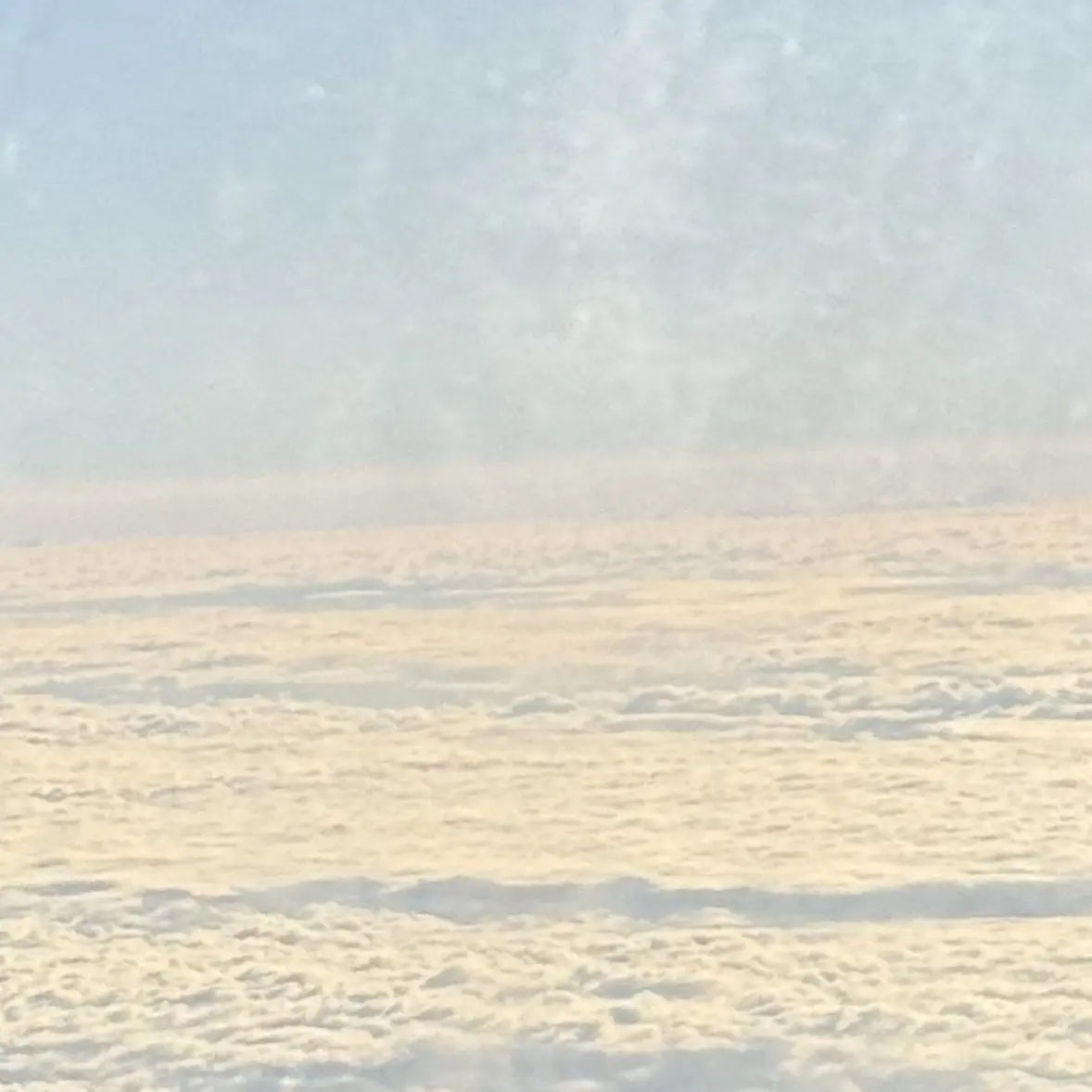 Onedoor400y의 ㄱㄷㅎ