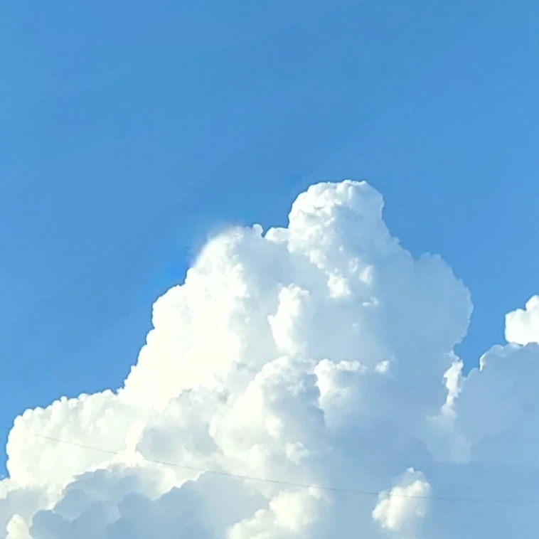 미스터리 수사반