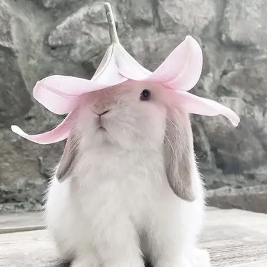 Profile image of Lucky