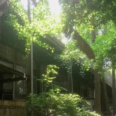 Profile image of 소년