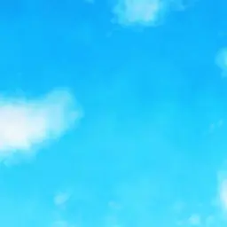 Profile image of 中也