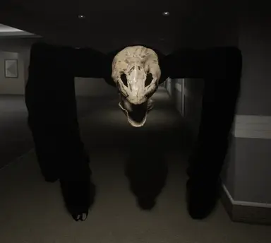 Profile image of 아라네아 맴브리