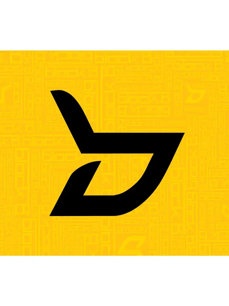 블락비(멤버들 모두 유저바라기) 대표 이미지