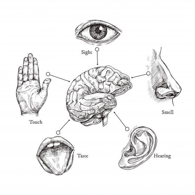 FIVE SENSE GAME(오감게임) 대표 이미지