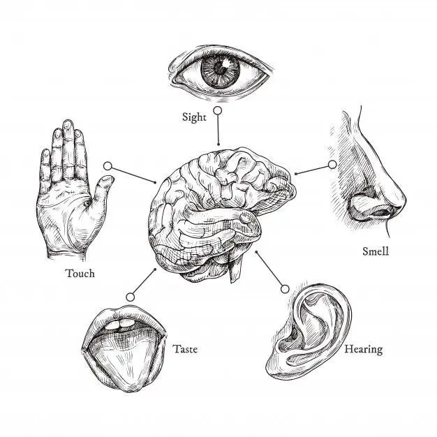 KK_222의 FIVE SENSE GAME(오감게임)