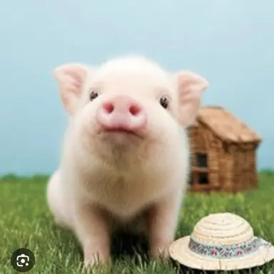 Profile image of チャンビン