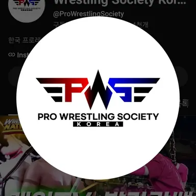 Profile image of PWS 정의의팀