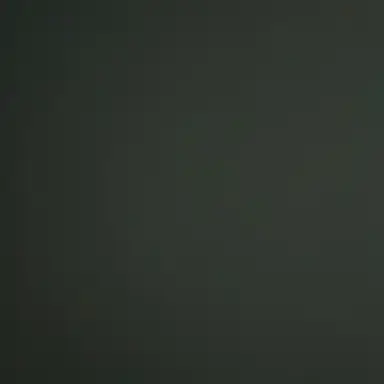 Profile image of 선생님