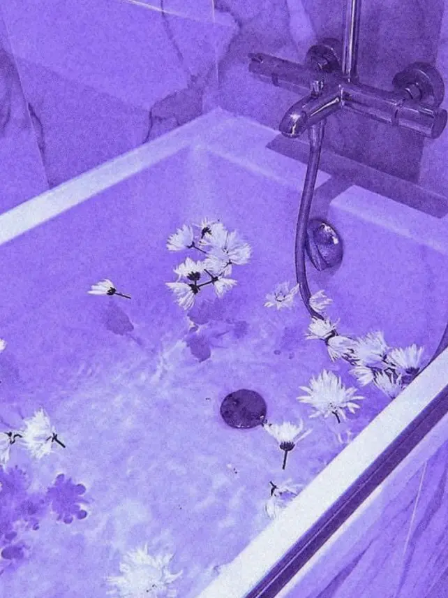 Spica____o0의 浮気者