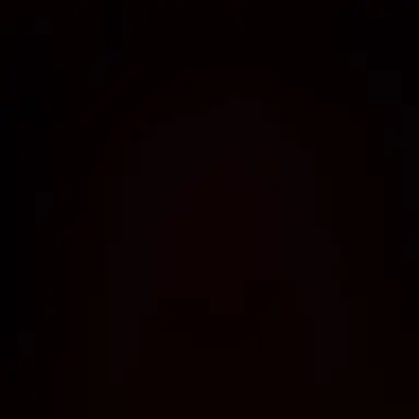 Profile image of 윤