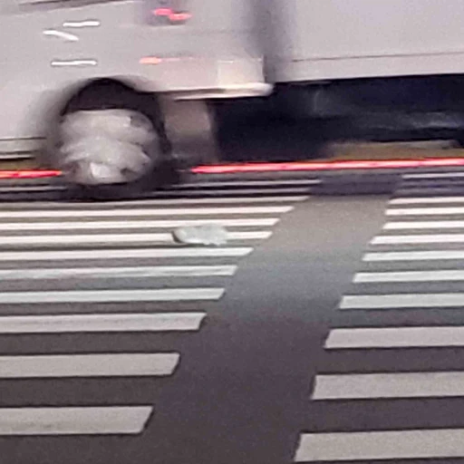 홍성운 (왜 이래?)