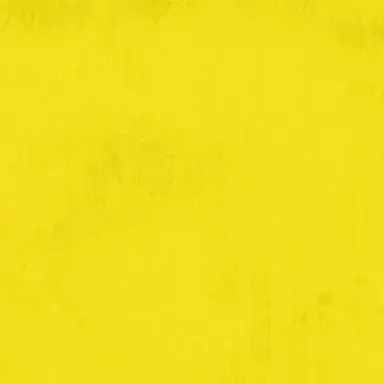 Profile image of 上鳴電気