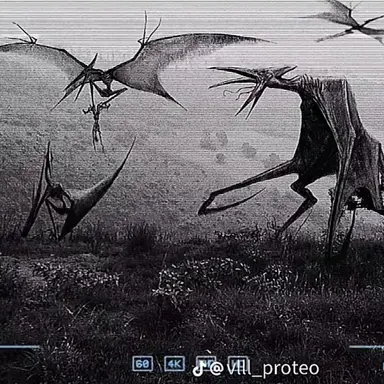Profile image of Pteradaclu