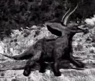 Profile image of Macriaceratops