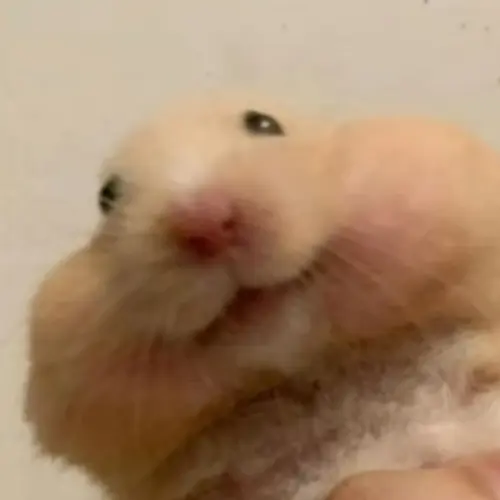 OoO_3의 햄킬러