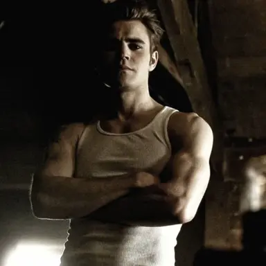 Profile image of Stefan
