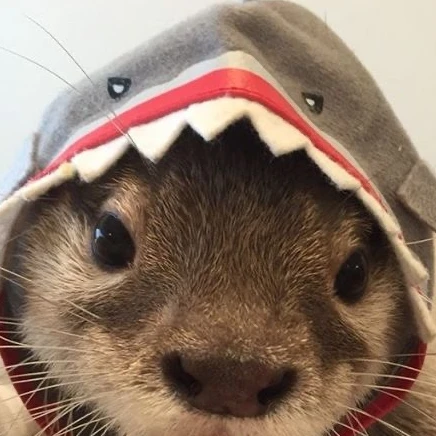サンヒョク