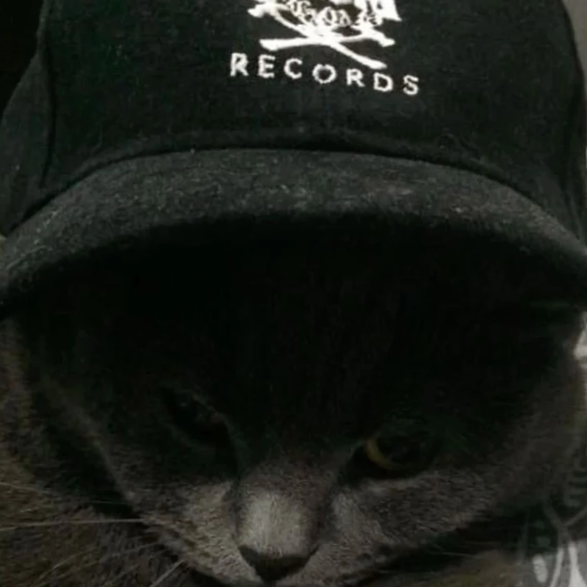 ドンミン