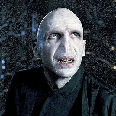 Profile image of Lord voldemort