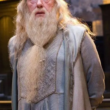 Profile image of Albus dumbledore